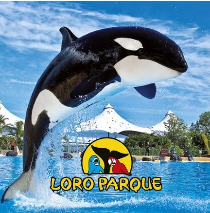 Loro Parque NO RESIDENTES