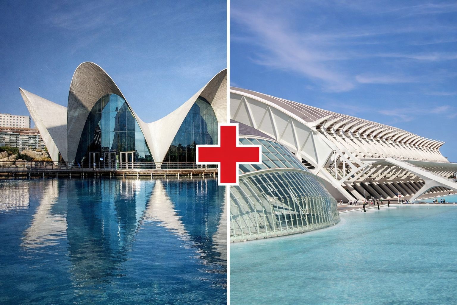 Oceanogràfic + Museo Ciencias