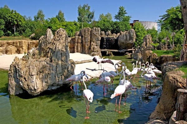 BioParc Valencia