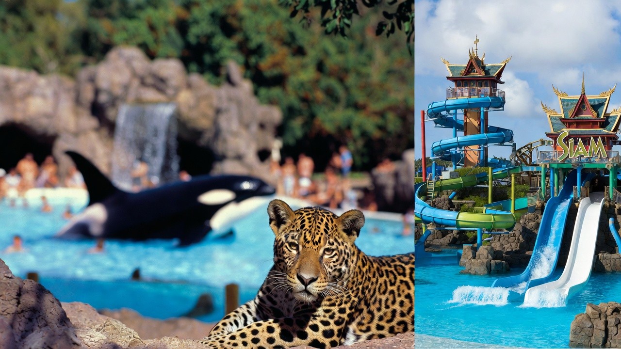 Loro Parque y Siam Park en 2026: Baby Boom en Tenerife y diversión acuática sin límites