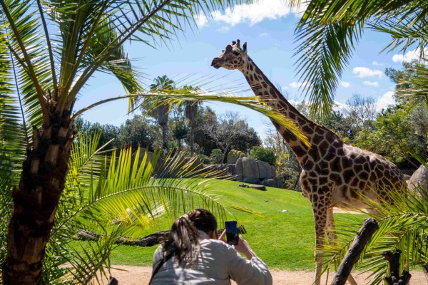BioParc  Fuengirola