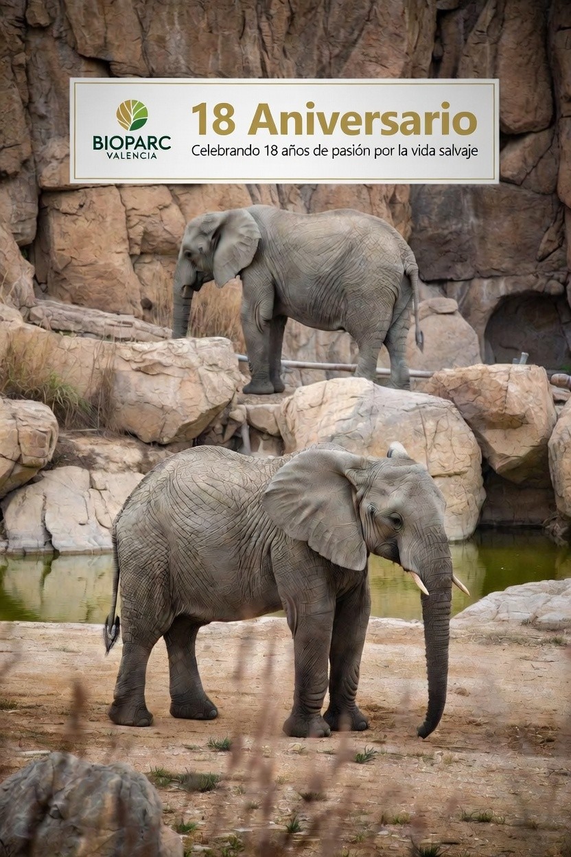 BIOPARC Valencia Celebrates Its 18th Anniversary Successfully: A World Reference in Conservation