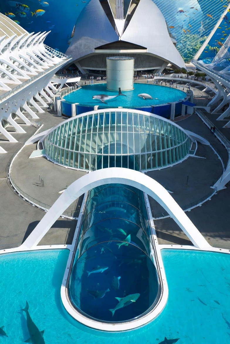 Oceanogràfic Valencia: Dive into Europe’s Largest Aquarium (2026 Guide)
