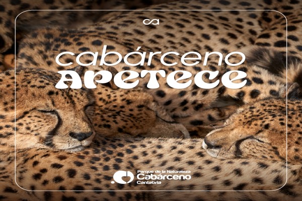 Parque de la Naturaleza de Cabárceno