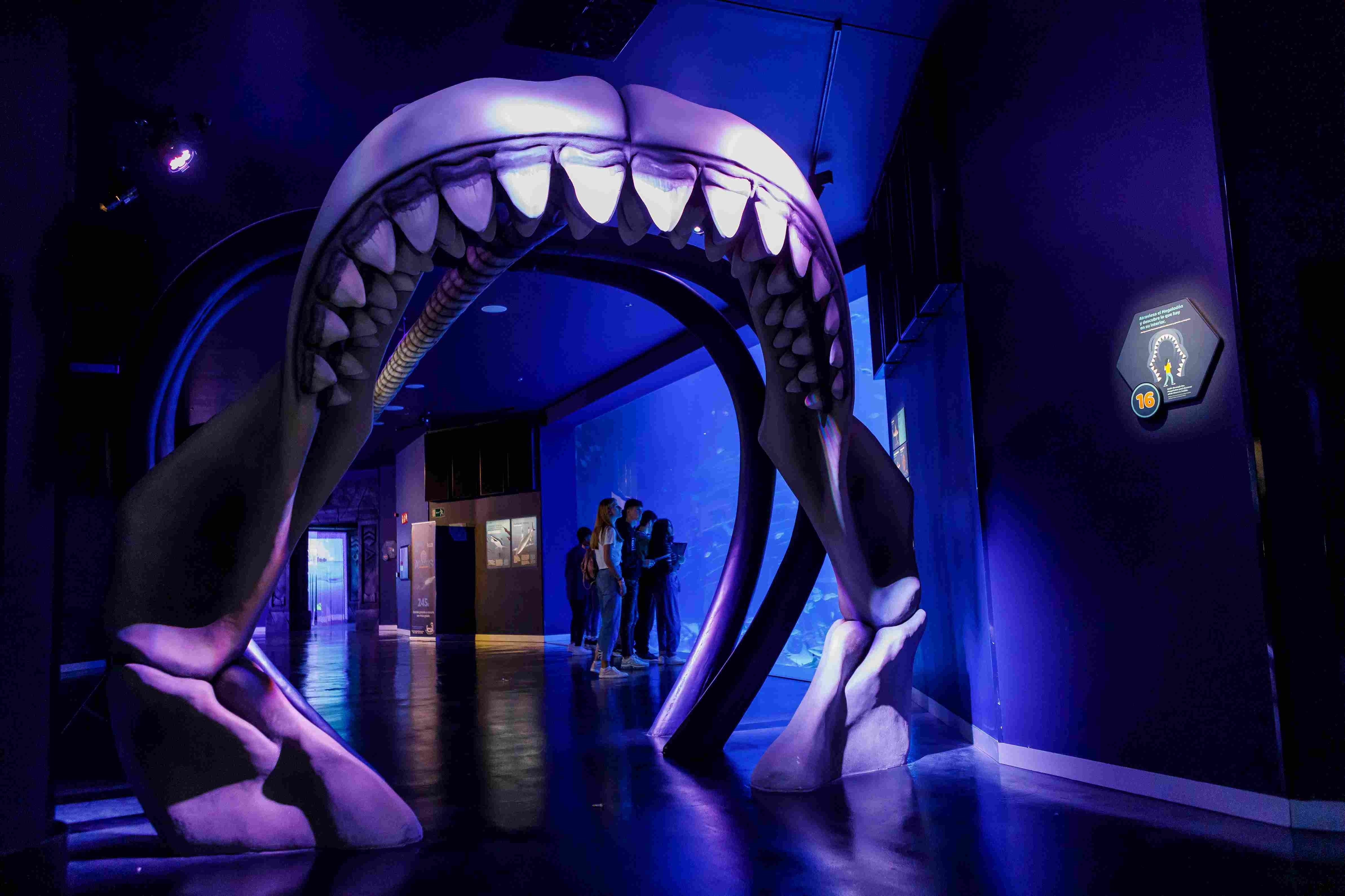Atlantis Aquarium Madrid