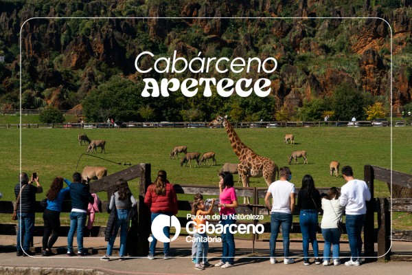 Entrada Día Completo