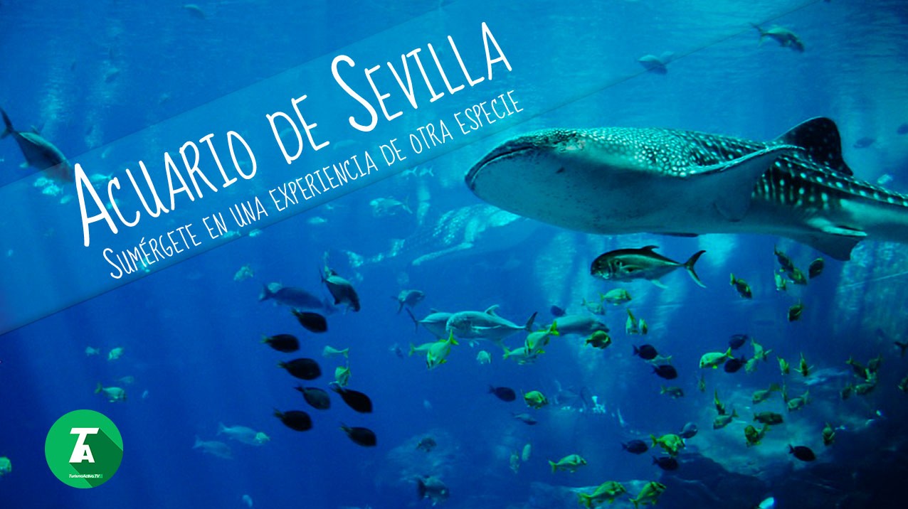 Entradas Acuario de Sevilla