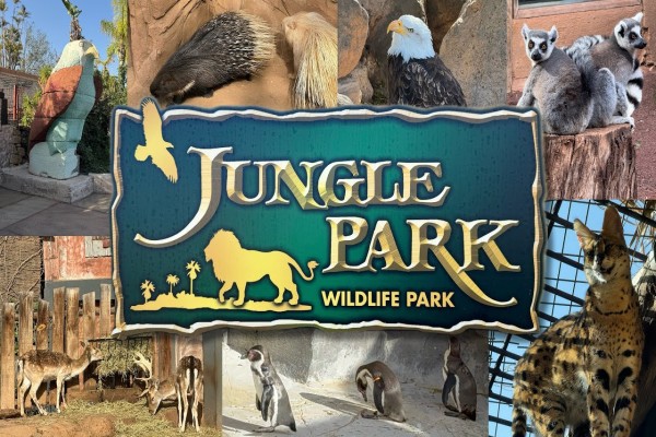 Jungle park