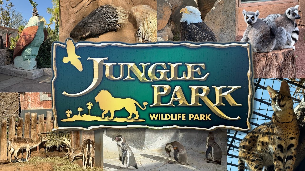 Entradas Jungle Park