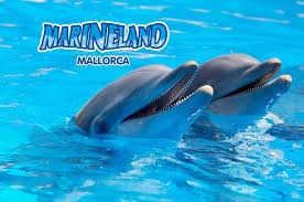 Entradas Marineland Mallorca