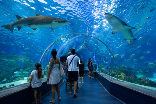 L'Aquàrium de Barcelona se reinventa: nuevas experiencias inmersivas y planes familiares en 2026