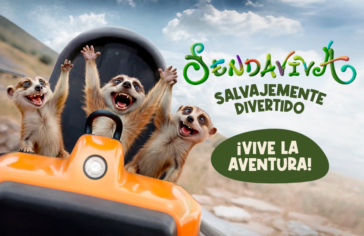 Entrada 2 Días Consecutivos