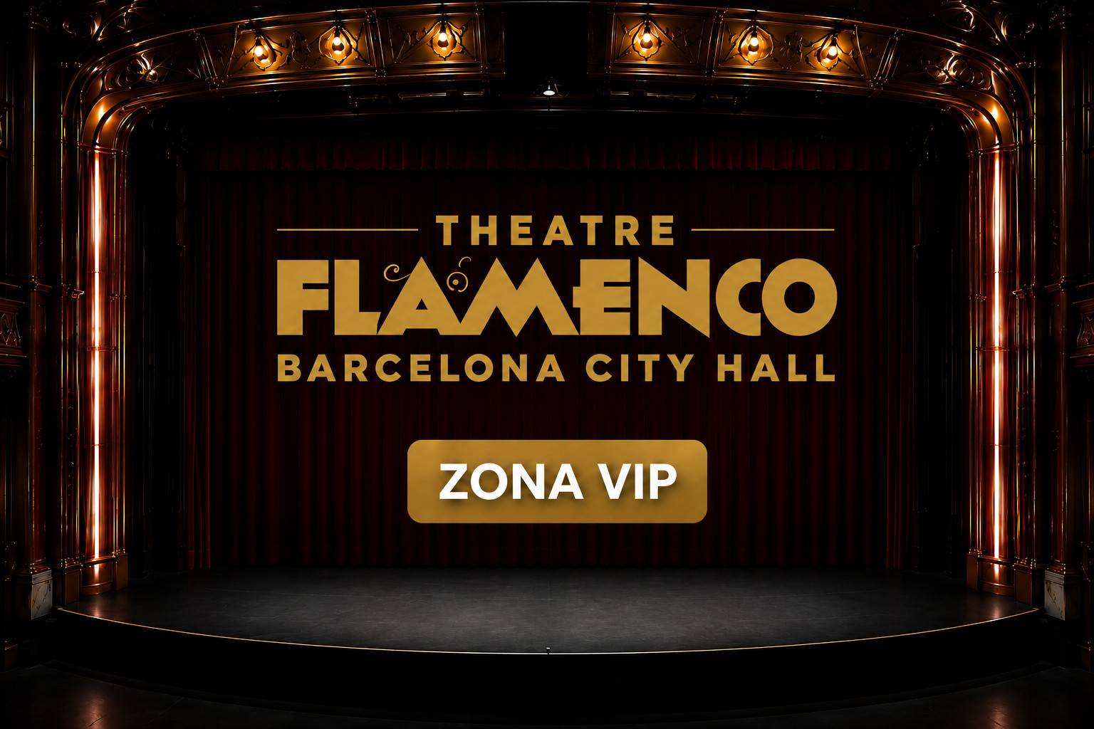 Zona VIP